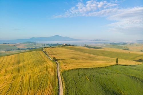 Il viale di cipressi di Poggio Covili nella campagna della Val d'Orcia